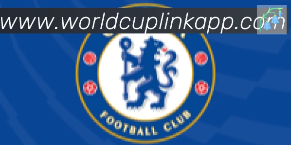 美加墨世界杯APP下载合作伙伴